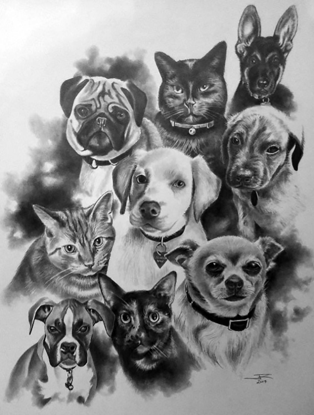 A collage of many types of dogs.