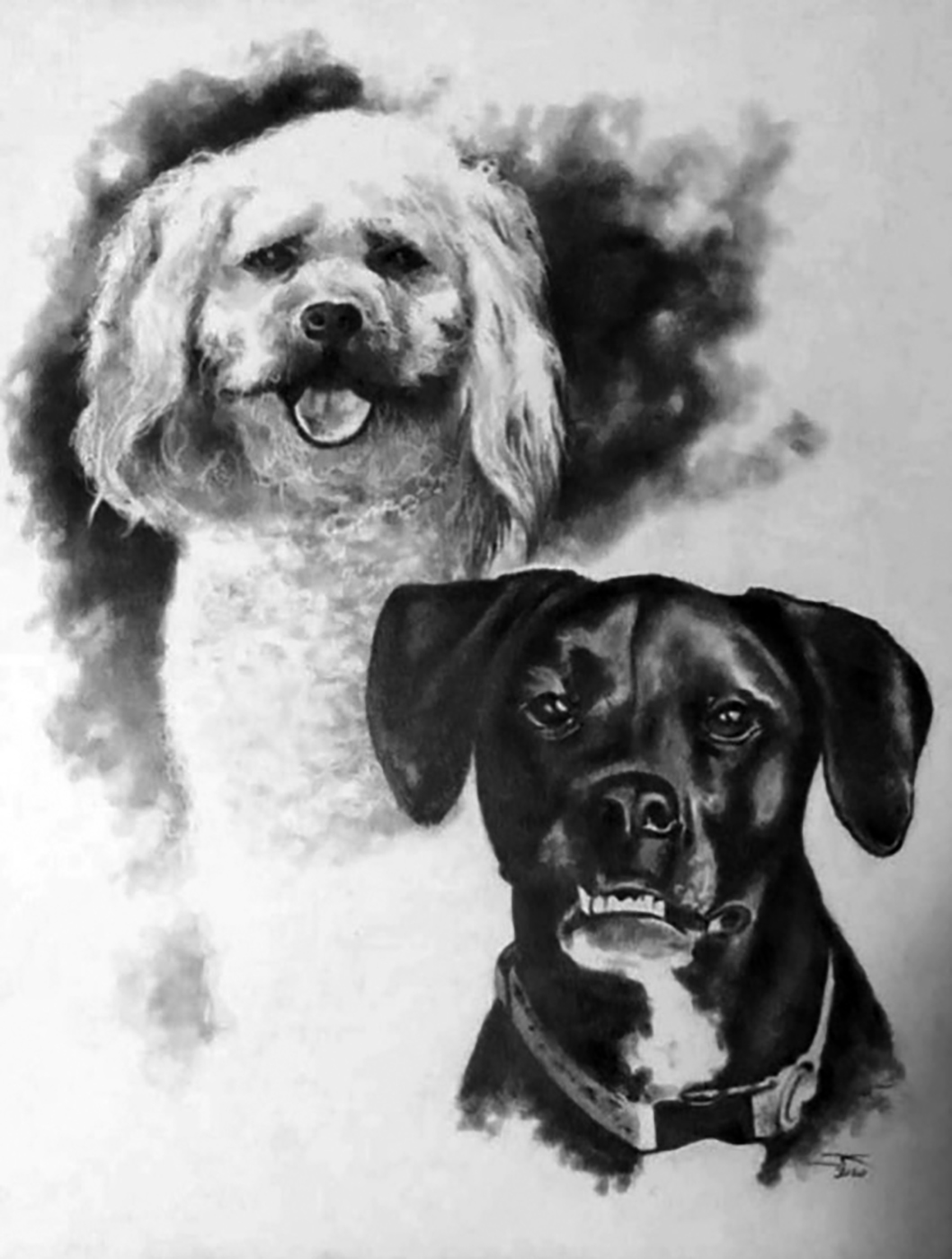 2 dogs